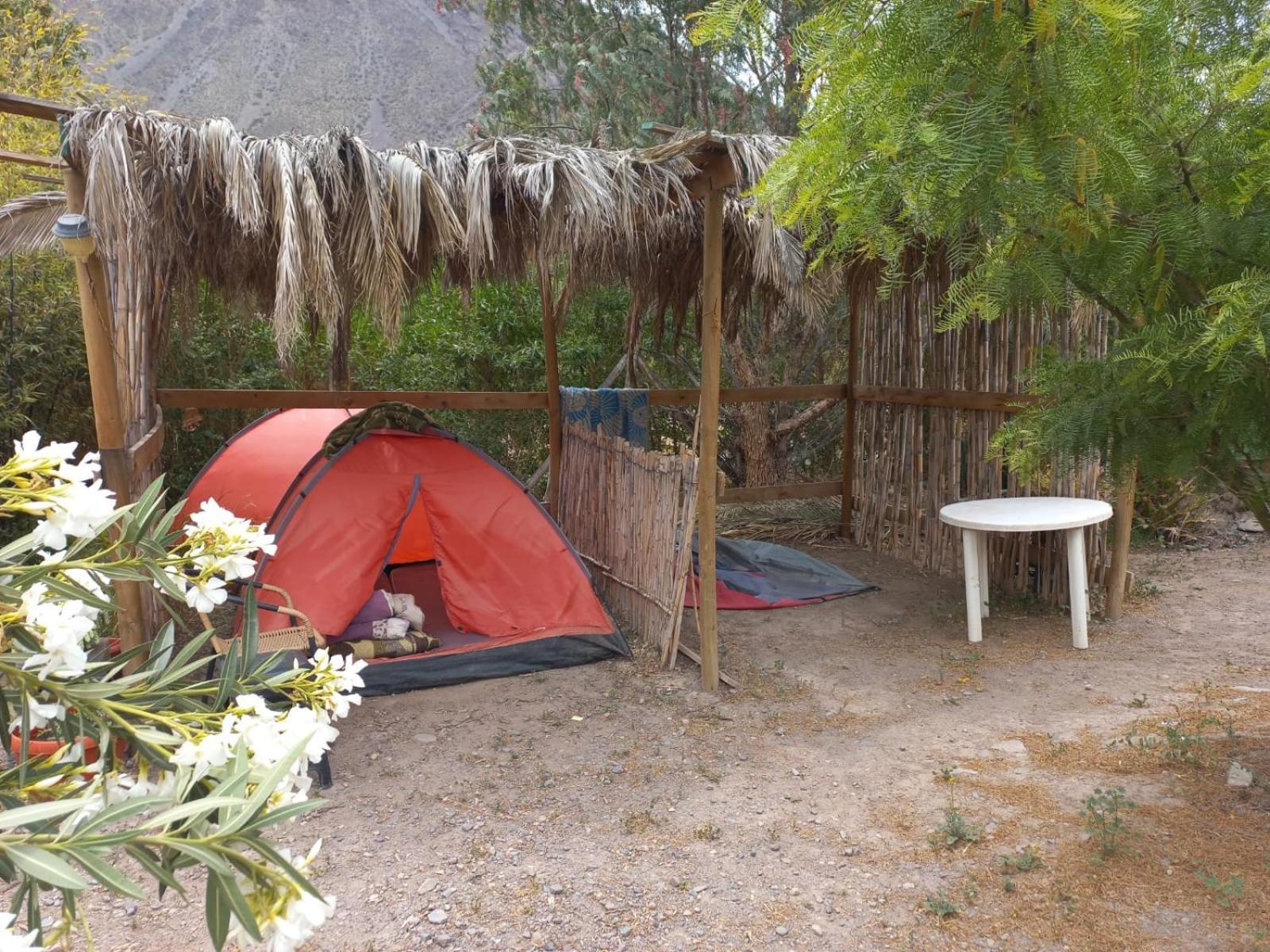 Astro Camping Elqui Experience Vicuña Exterior foto